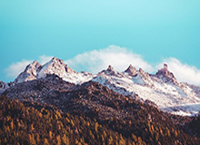 乐鱼体育下载：一键开启的全方位体育体验，随时随地点燃看球热情